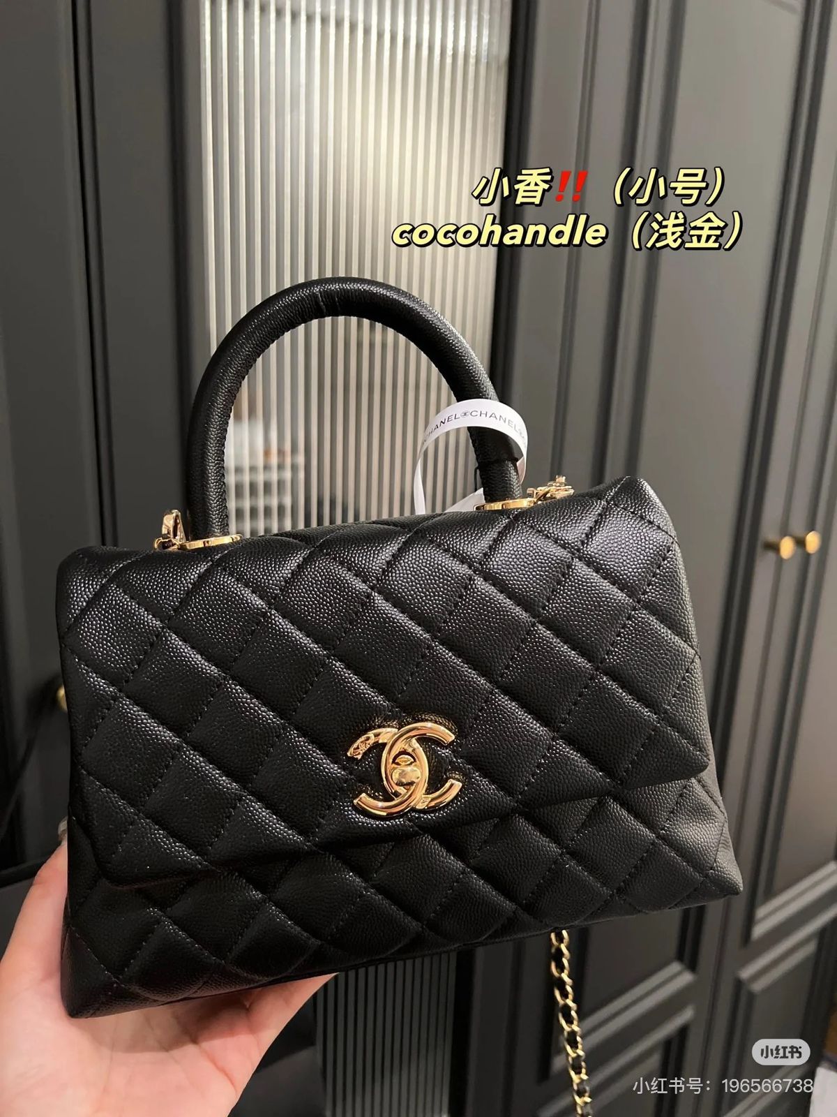 WhatsApp Image 2025-08-30 at 10.16.36 PM (1)