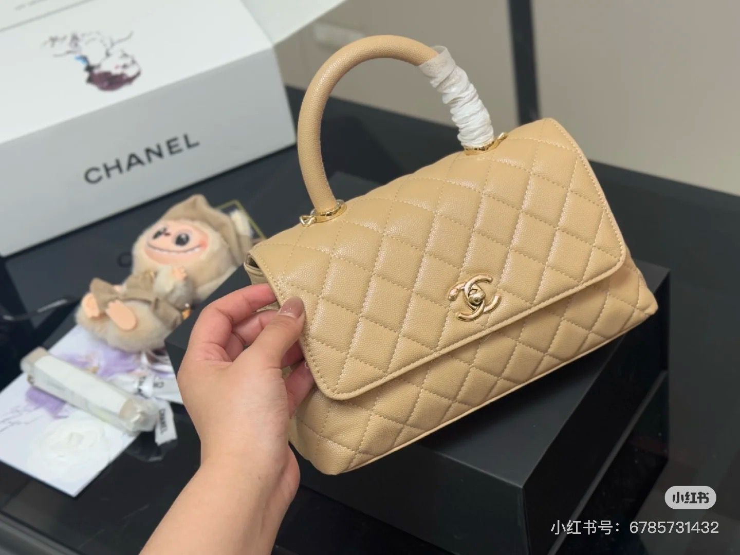 WhatsApp Image 2025-08-30 at 10.16.36 PM